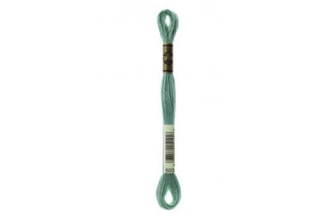DMC Mouliné Special - 0503