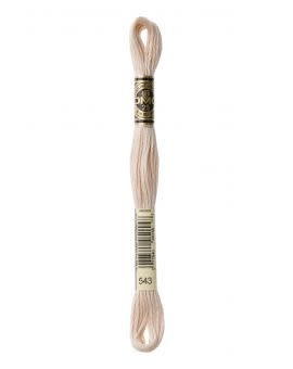 DMC Mouliné Special - 0543
