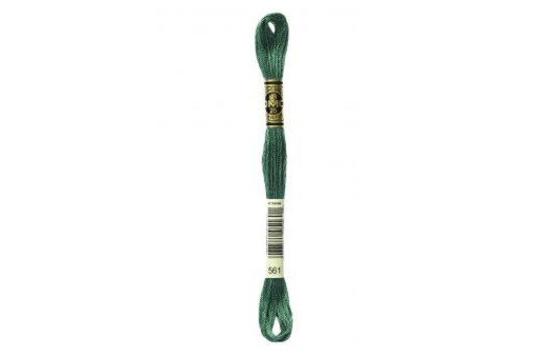 DMC Mouliné Special - 0561