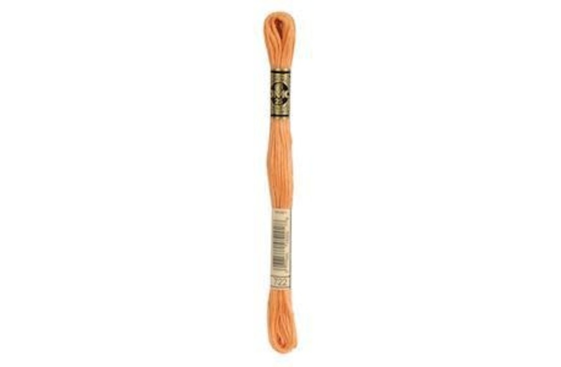 DMC Mouliné Special - 0722