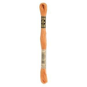 DMC Mouliné Special - 0722