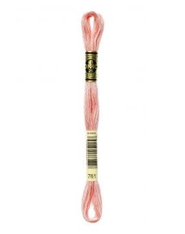 DMC Mouliné Special - 0761