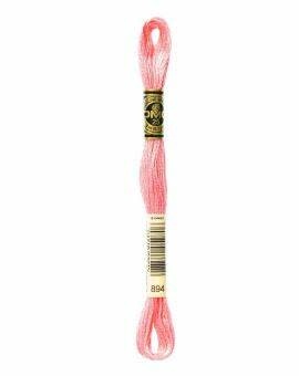 DMC Mouliné Special - 0894