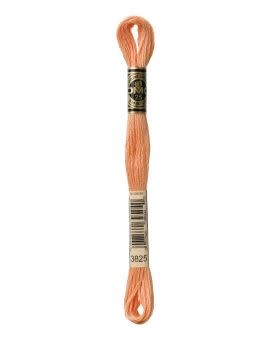 DMC Mouliné Special - 3825