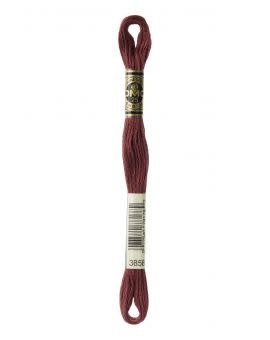 DMC Mouliné Special - 3858
