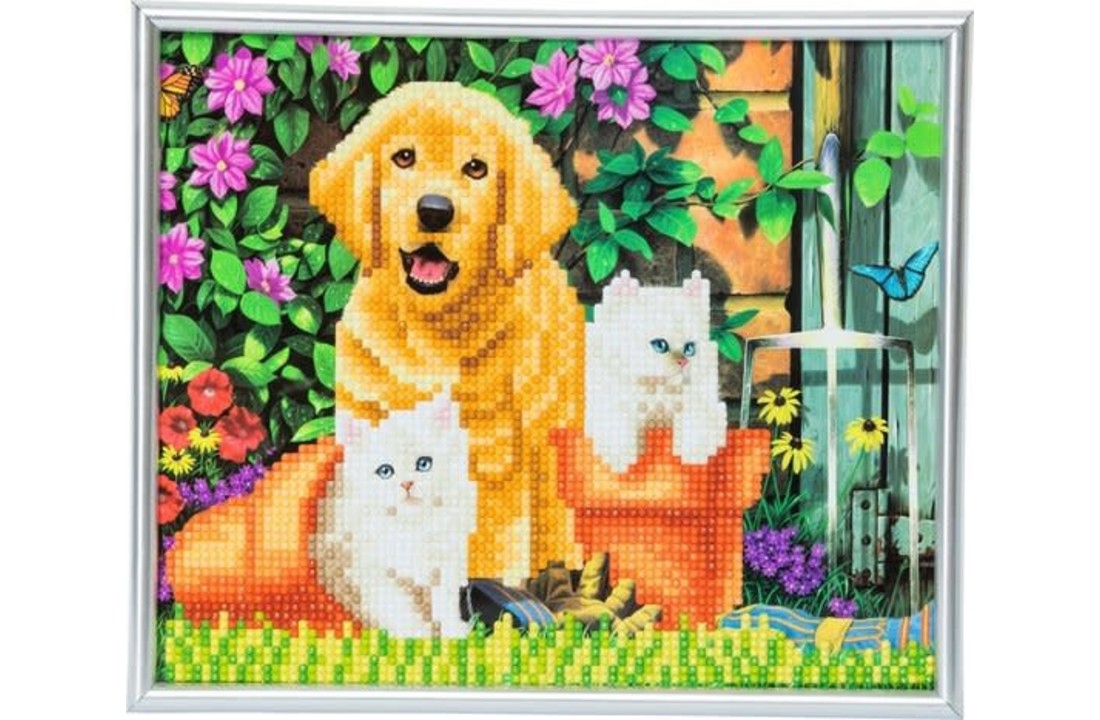 Crystal Art Picture Frame Kit Cat and Dog 21 x 25 cm