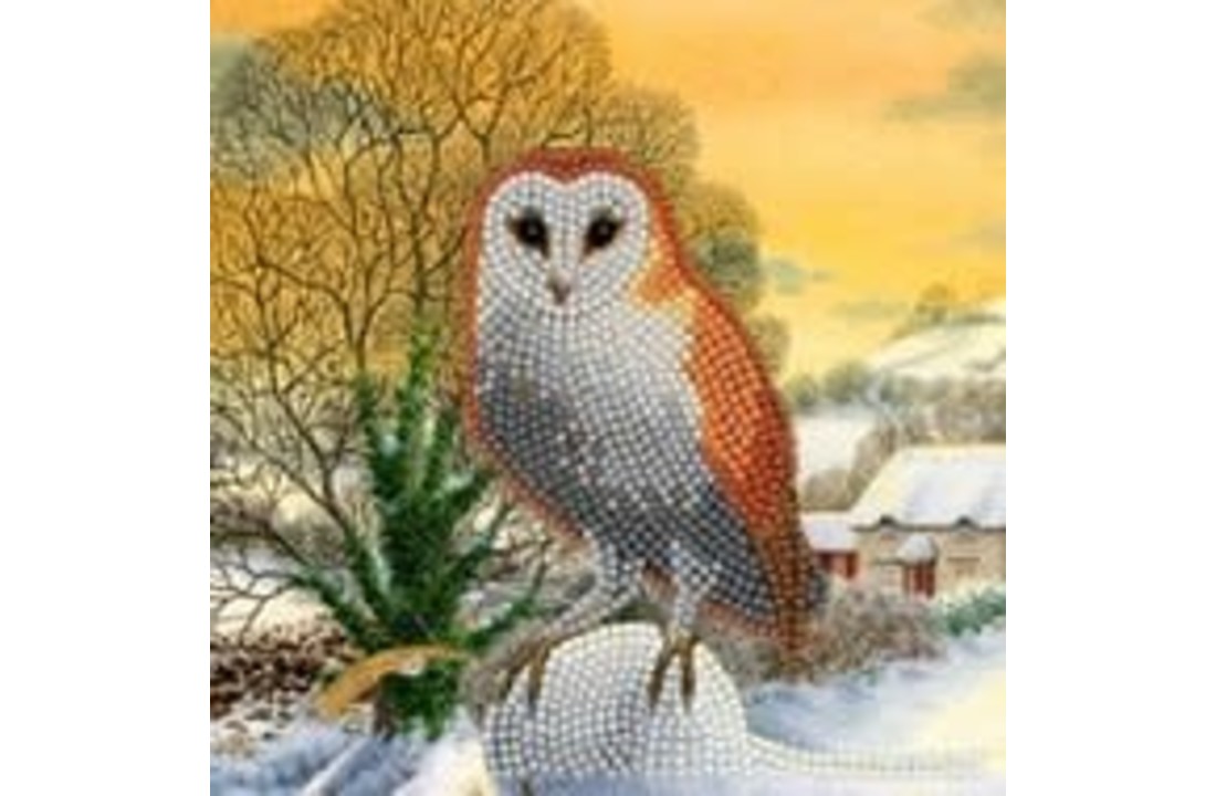 Crystal Art Card Winter Owl 18 x 18cm