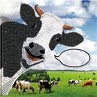 Crystal Card Kit Funny Cow 18 x 18cm
