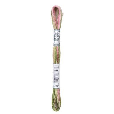 DMC Mouliné Coloris 8m - 4500