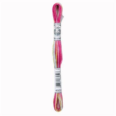 DMC Mouliné Coloris 8m - 4502