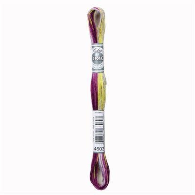DMC Mouliné Coloris 8m - 4503
