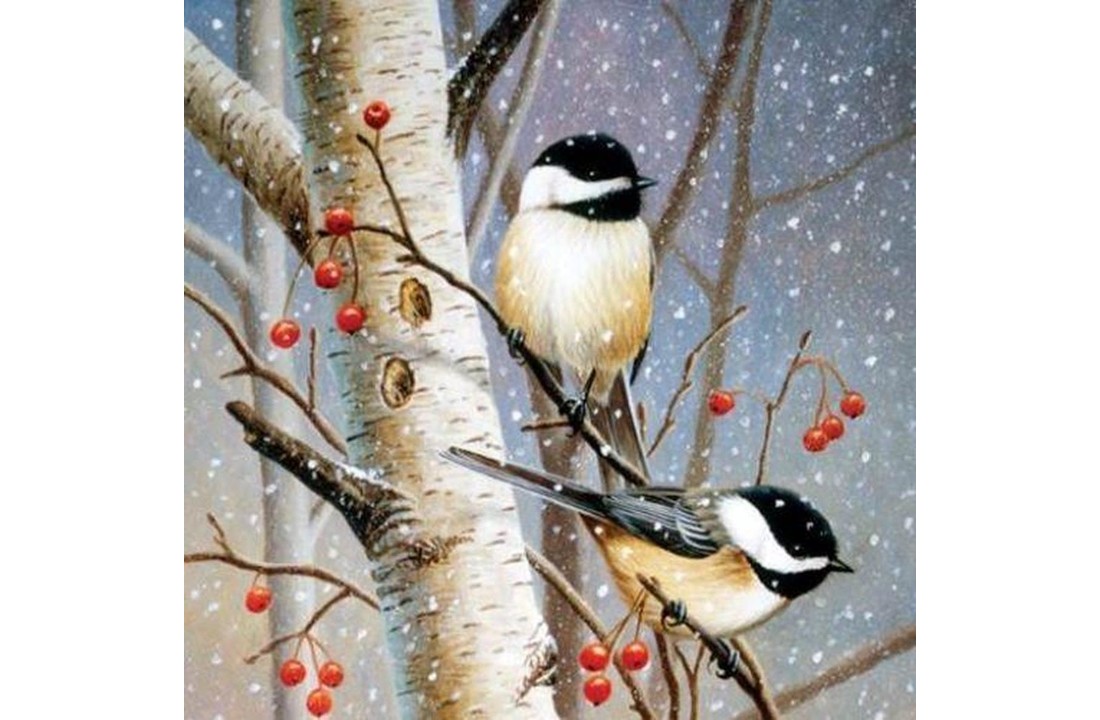 Crystal Art Kit Woodland Sprites Full 30 x 30cm