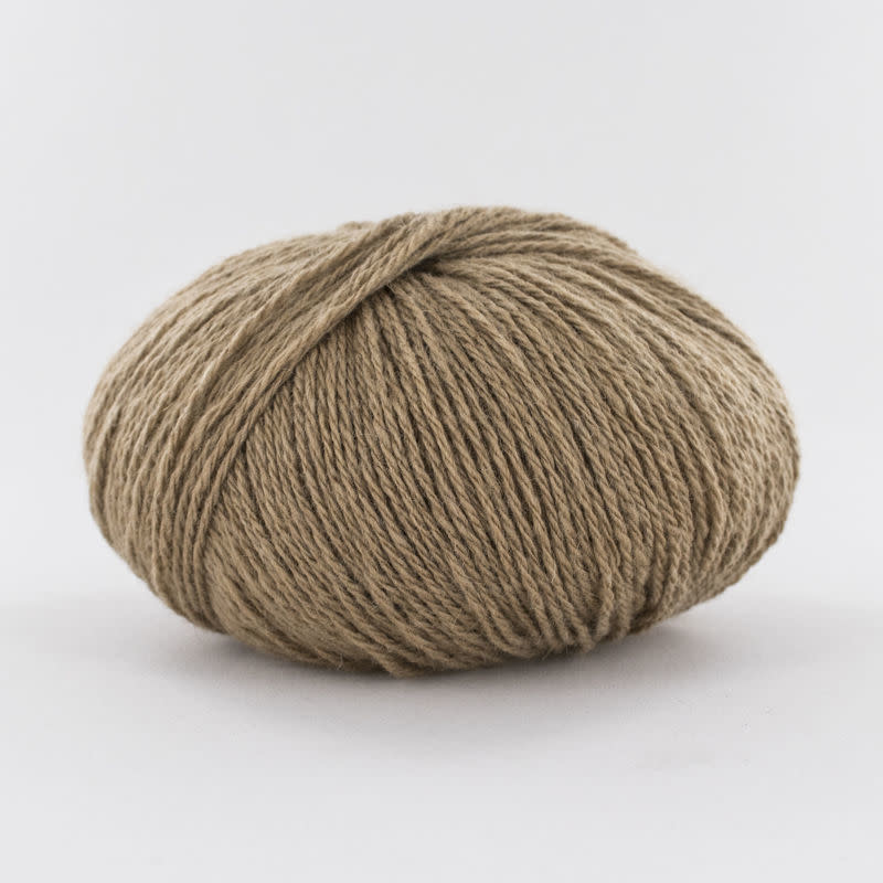 Fonty Camel Gobi 3 31