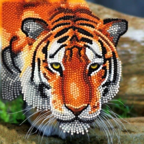 Crystal Card Kit The Tiger 18 x 18cm