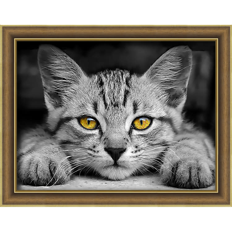 Diamond Painting Yellow Eyed Kitten 40 x 30cm