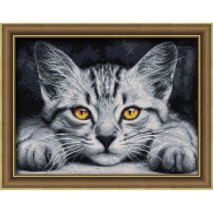 Diamond Painting Yellow Eyed Kitten 40 x 30cm