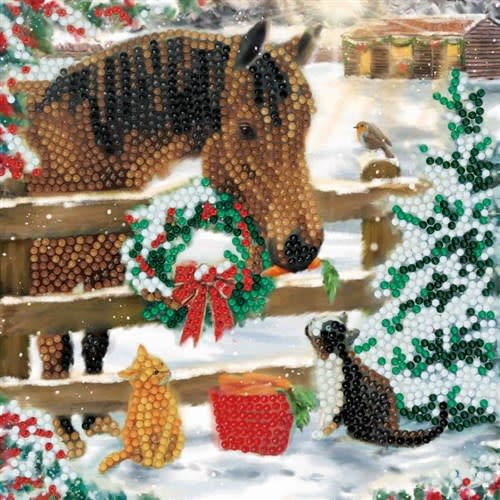 Crystal Card Kit Christmas Friendship 18 x 18cm