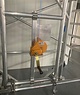 ASC Solarlift ASC ASC Solarlift