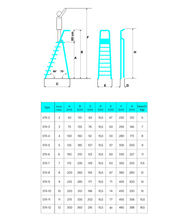 EuroStairs Pro Bordestrap BT-3