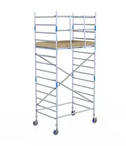 Alumexx Basic rolsteiger 135 x 250 x 5,2m WH met schoren