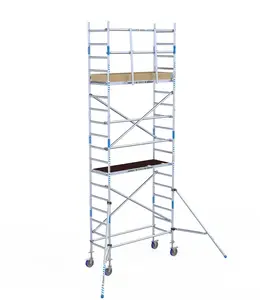 Alumexx Basic rolsteiger 75 x 250 x 6,2m WH met schoren