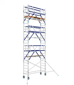 AGS Pro rolsteiger ASC 75 x 250 x 8,2wh tweezijdig Carbon