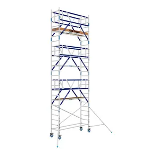 AGS Pro rolsteiger ASC 75 x 250 x 8,2wh tweezijdig Carbon