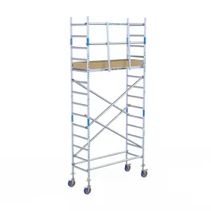 Alumexx Basic rolsteiger 75 x 190 x 5,2m WH met schoren