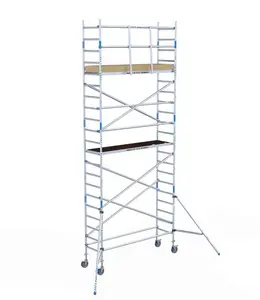 Alumexx Basic rolsteiger 75 x 190 x 7,2m WH met schoren