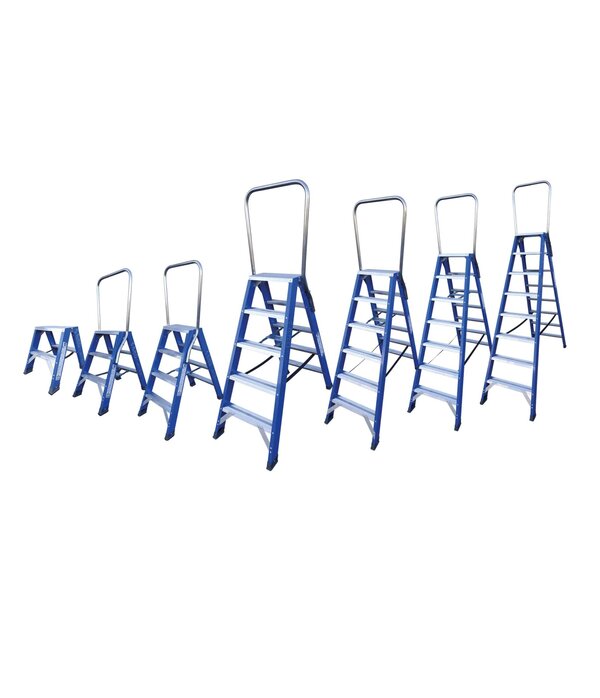 ASC ASC Pro-Line Dubbele Trap 10 treden