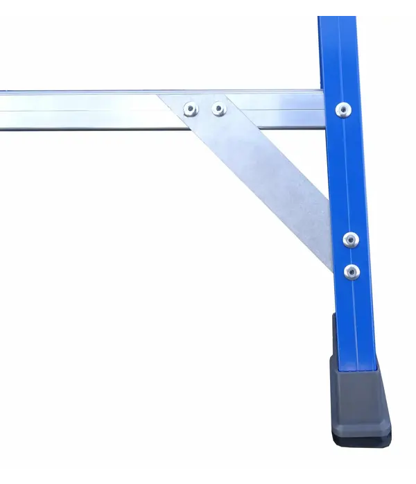 ASC ASC Pro-Line Dubbele Trap 10 treden