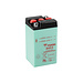 Yuasa B49-6 6V 8Ah Conventionele Motor Accu