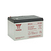 Yuasa NP12-12 Loodaccu 12V 12Ah