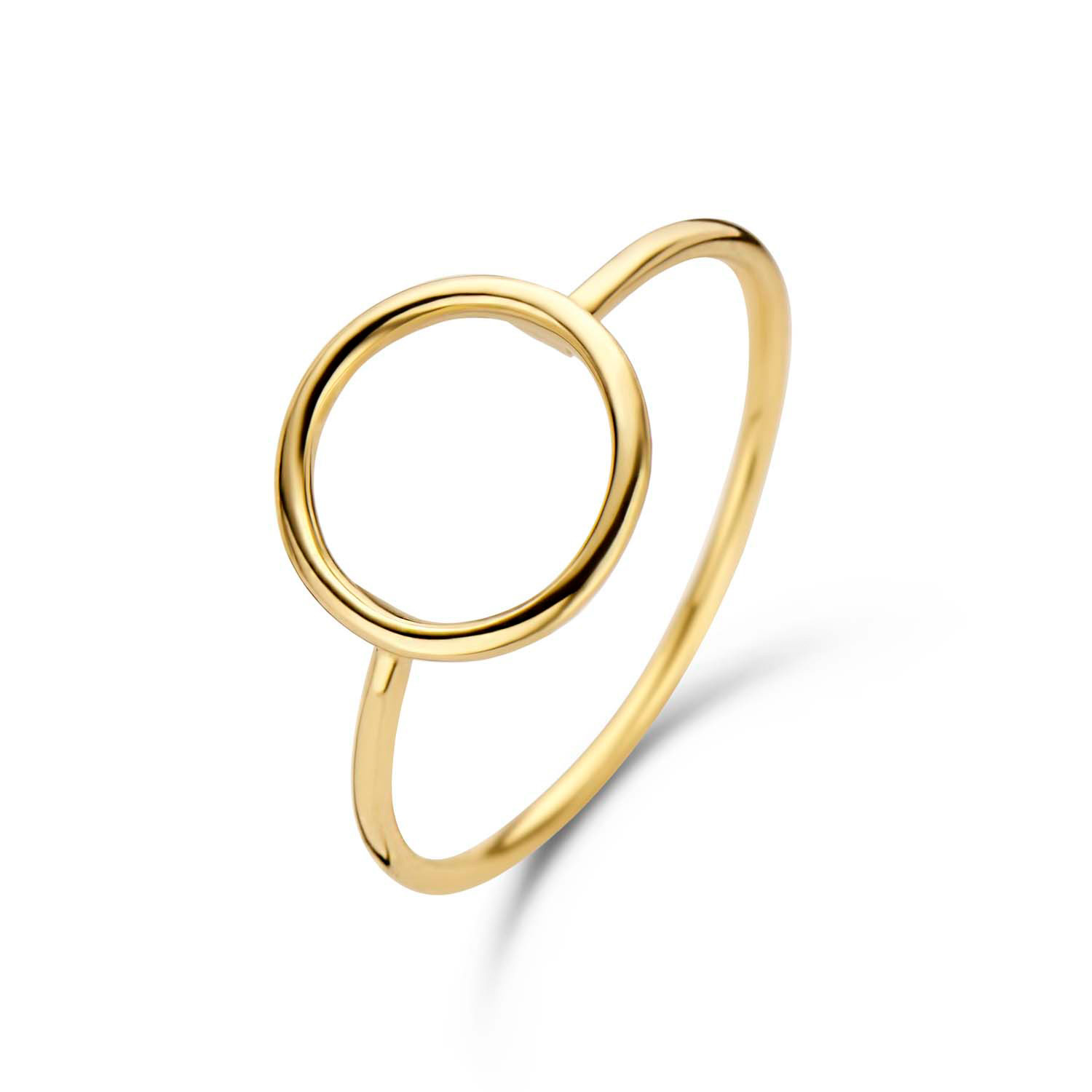 Circle Silhouette Ring - 14 karaat goud