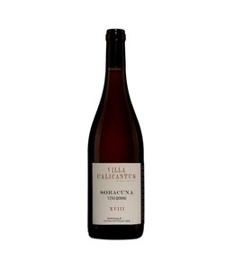 Villa Calicantus | Soracuna | Bardolino | 2023 | 75cl