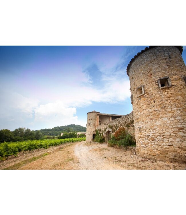 Famille Perrin | Domaine Du Clos des Tourelles | Gigondas | 2018 | 75cl