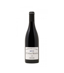 Antoine De La Farge | L’Enfant Rebelle | Pinot Noir | 2022 | 75cl