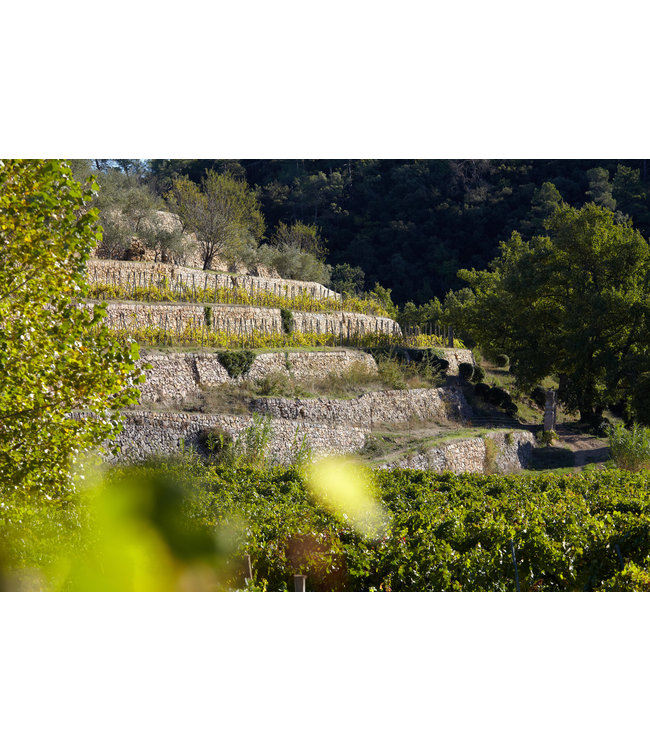 Château Miraval | Rosé | 2024 | 75cl