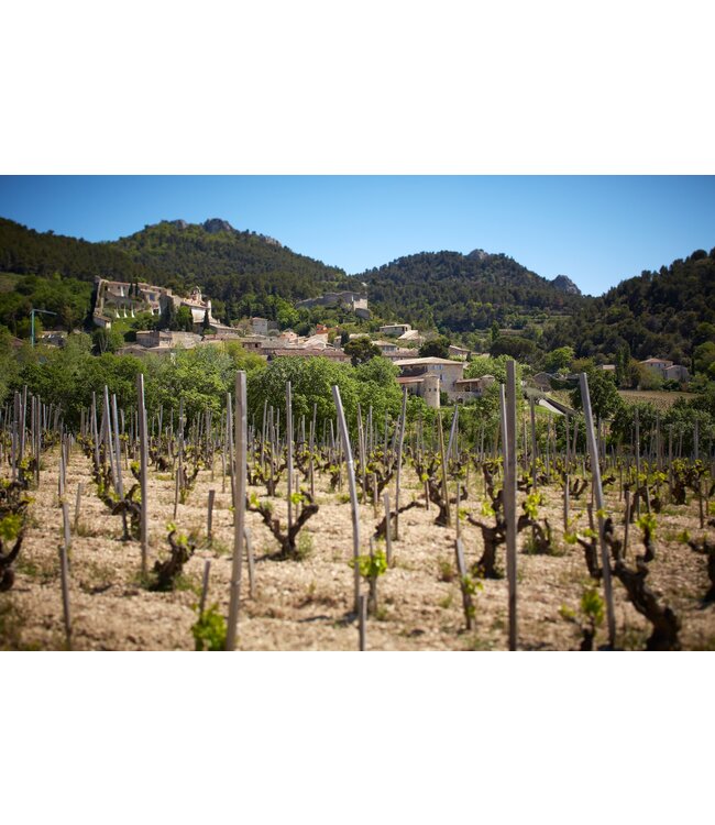 Famille Perrin | Domaine Du Clos des Tourelles | Gigondas | 2019 | 75cl