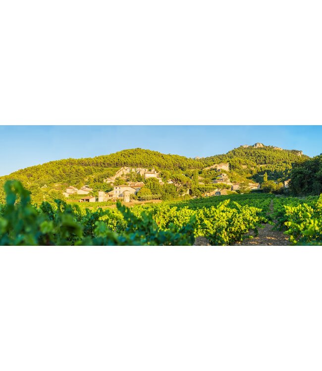 Famille Perrin | Domaine Du Clos des Tourelles | Gigondas | 2020 | 75cl