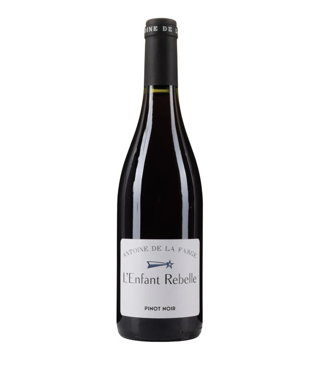 Antoine De La Farge | L’Enfant Rebelle | Pinot Noir | 2024 | 75cl