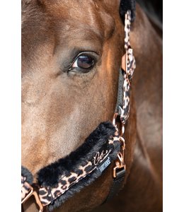 Harry's Horse Halsterset Cats