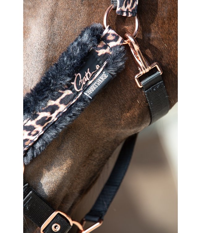 Harry's Horse Halsterset Cats