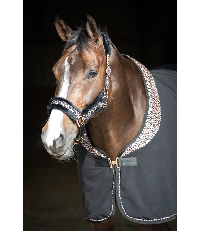 Harry's Horse Halsterset Cats