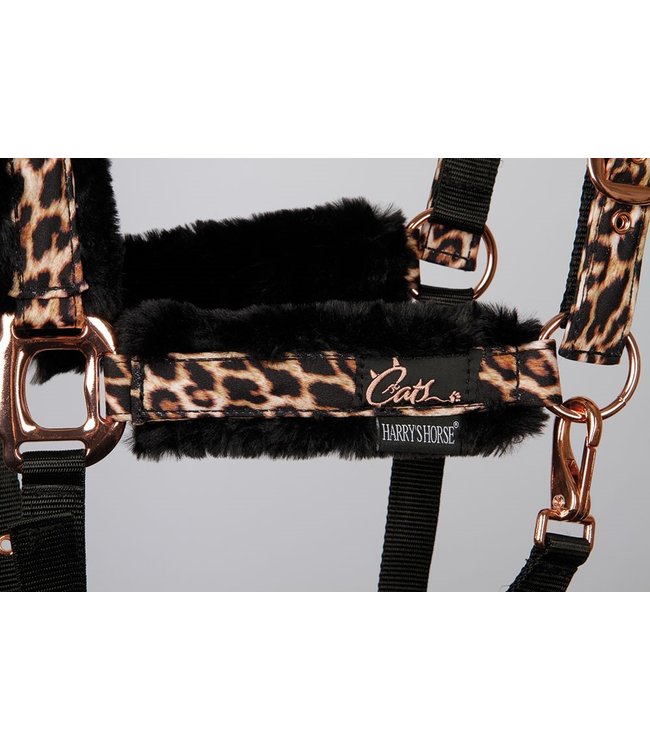 Harry's Horse Halsterset Cats