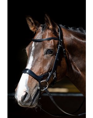 Harry's Horse Bridle Release