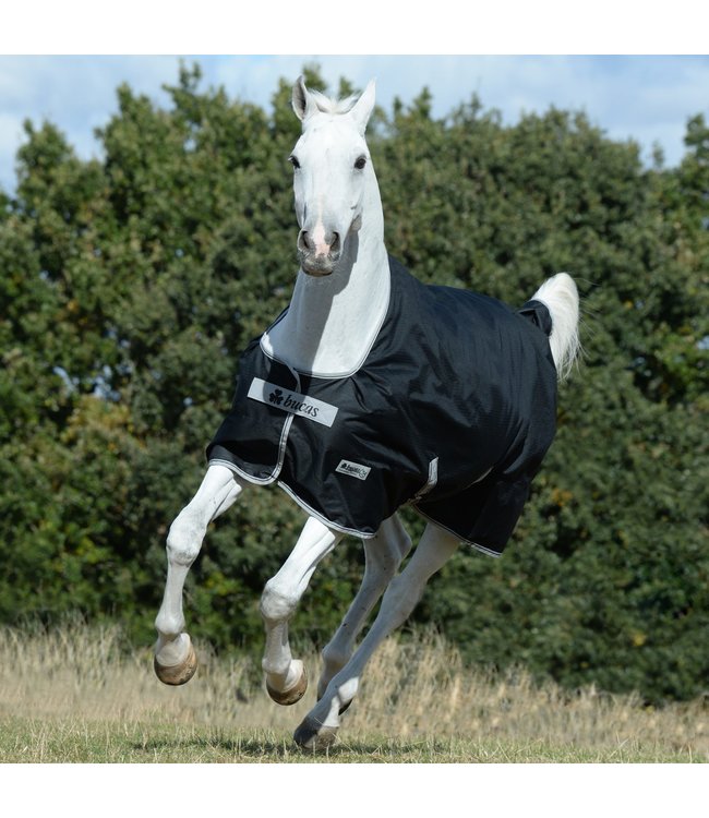 Bucas Anniversary Turnout 200 SF