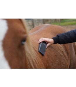 Excellent Horse Grooming Brush