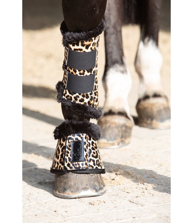 Harry's Horse Springschoenen Cats