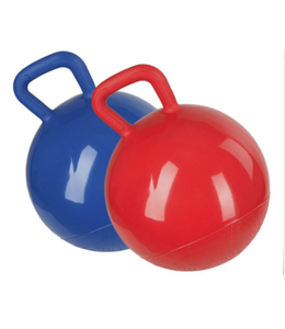 HB Ruitersport Play ball